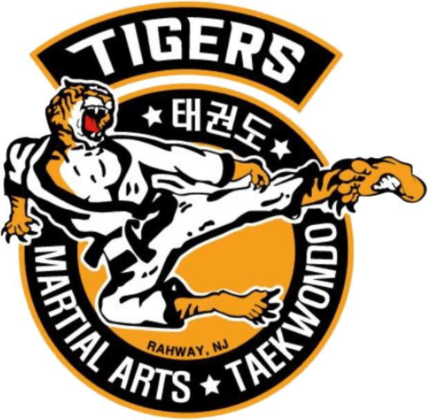 Tiger Martial Arts Summer Camp
